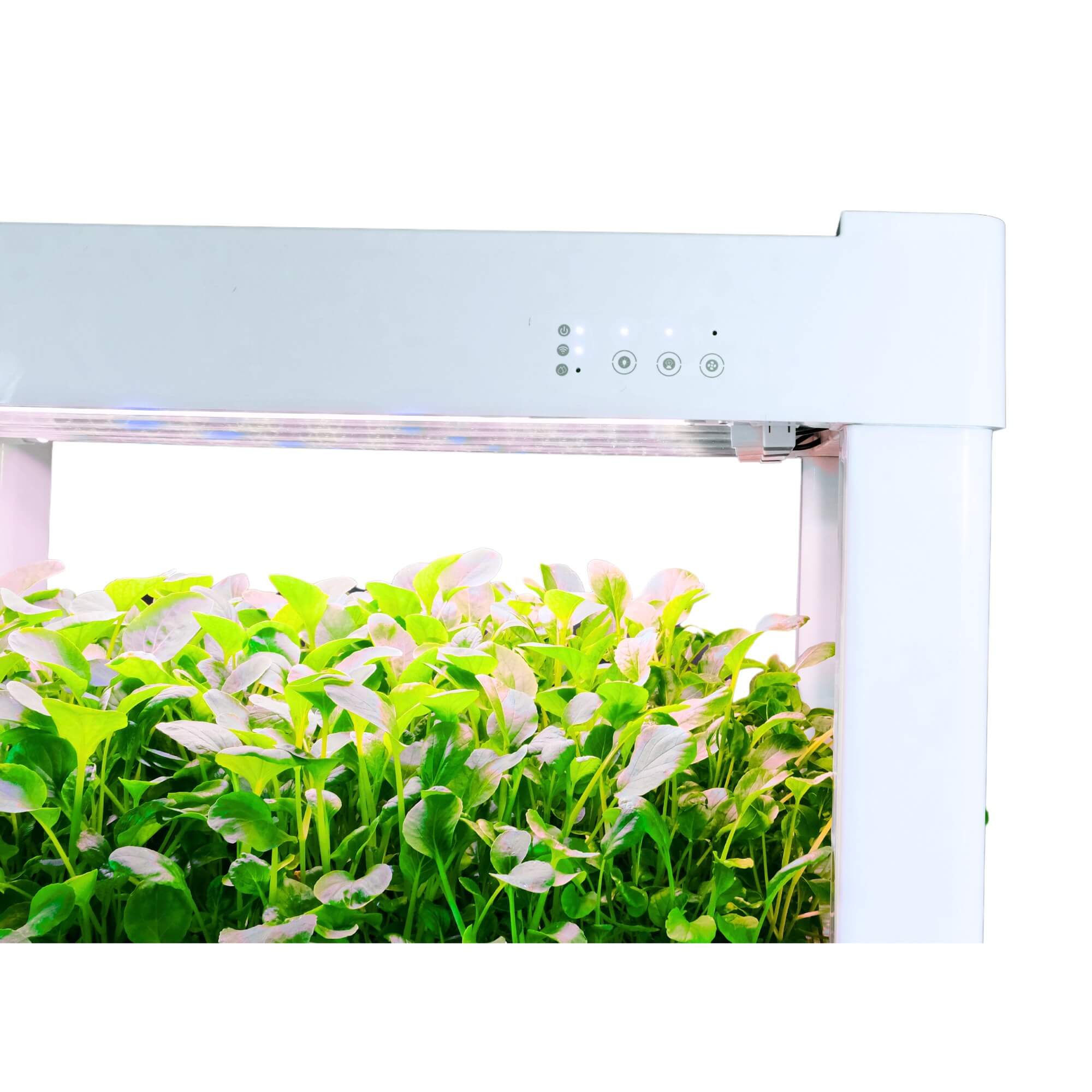 Indoor Hydroponic Garden Growing System - LumiArk Pro