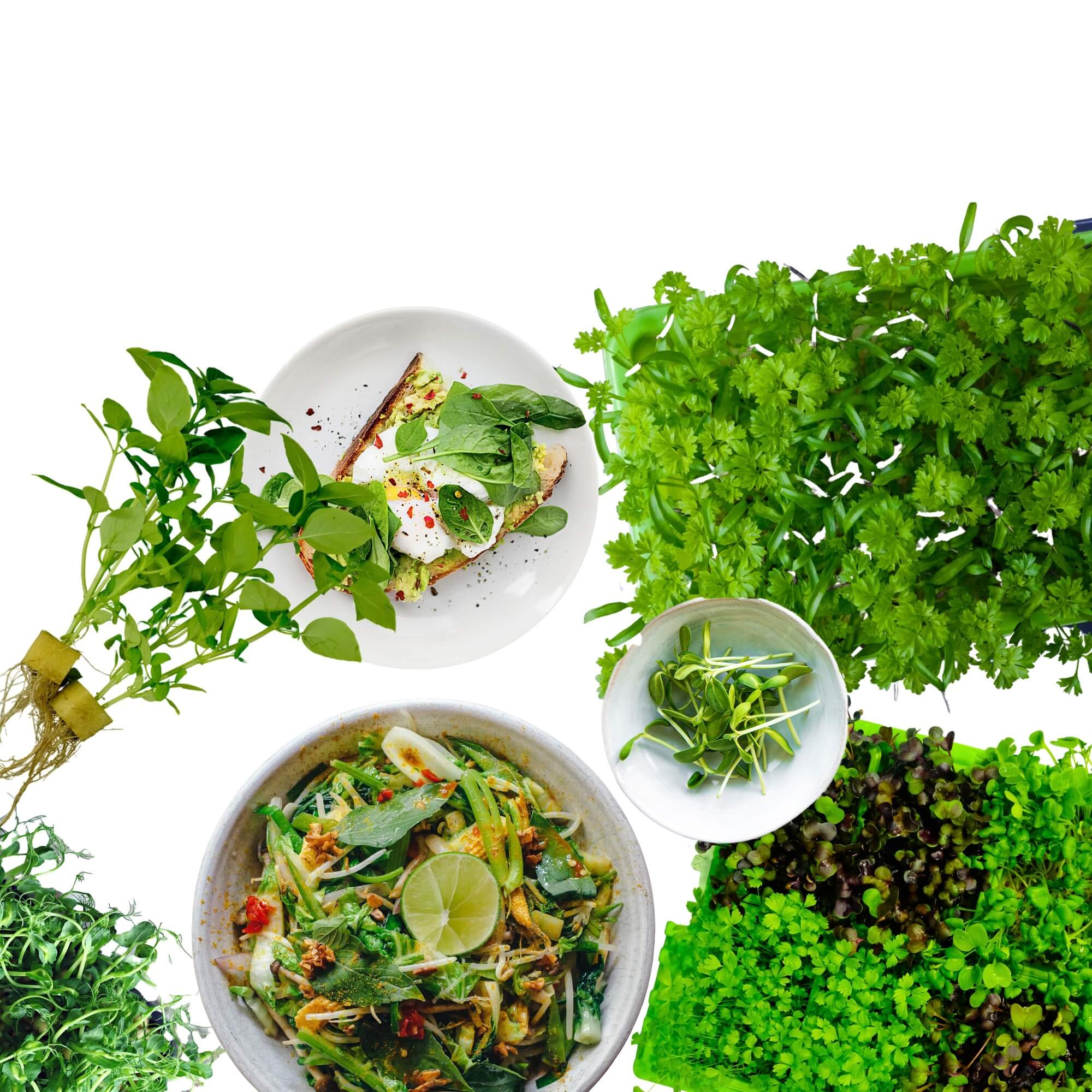 Indoor Hydroponic Garden Growing System - LumiArk Pro