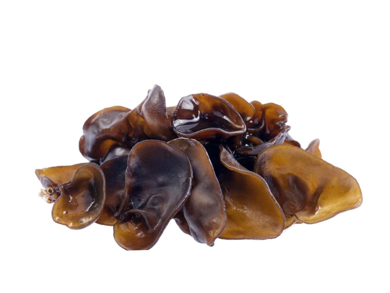 Black Fungus