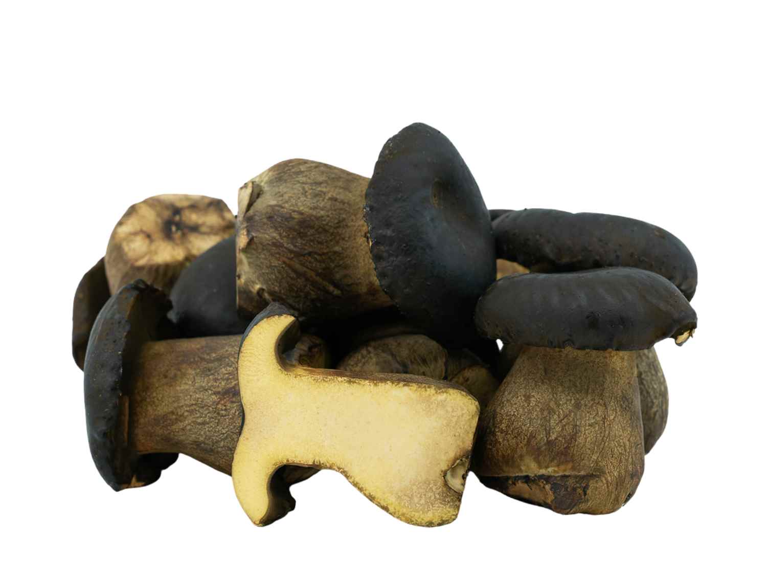 Porcini