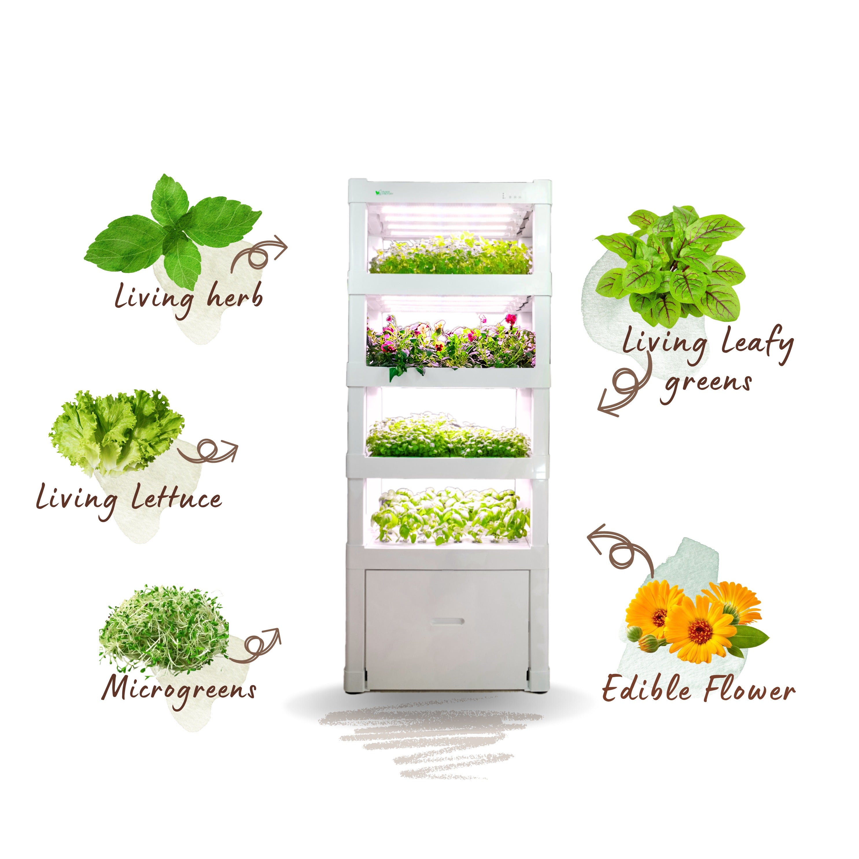 Indoor Hydroponic Garden Growing System - LumiArk