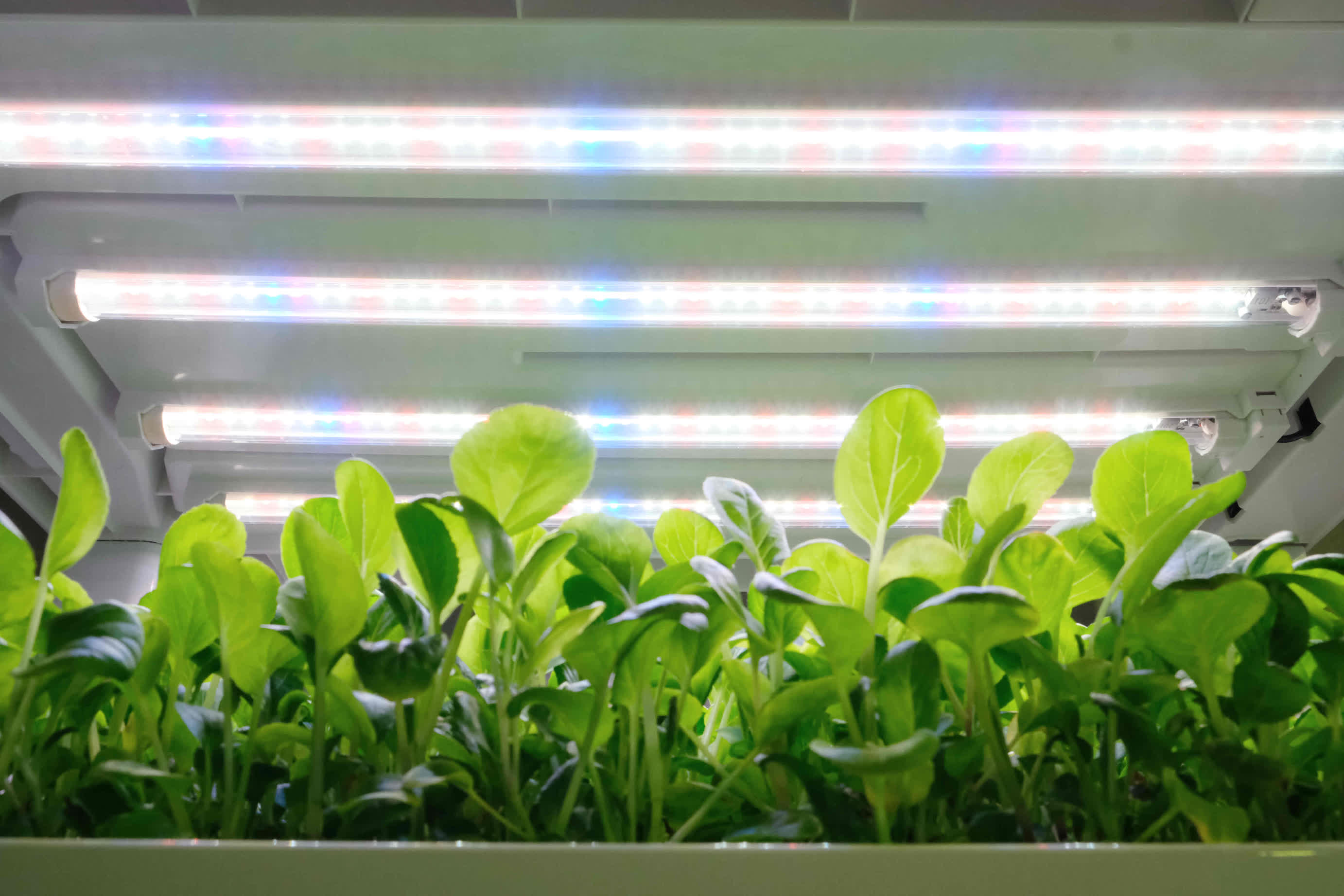 Indoor Hydroponic Garden Growing System - LumiArk