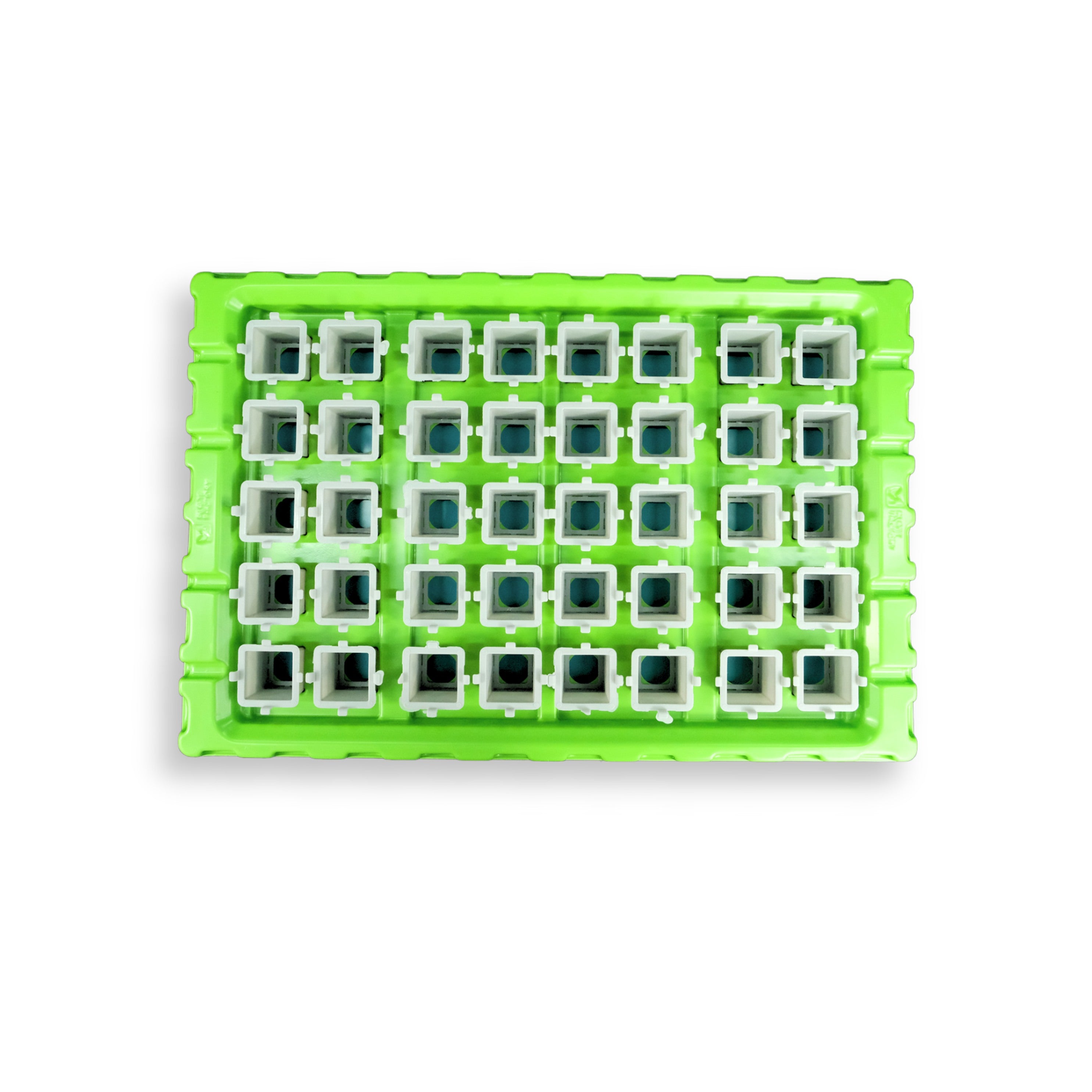 Seedling kit