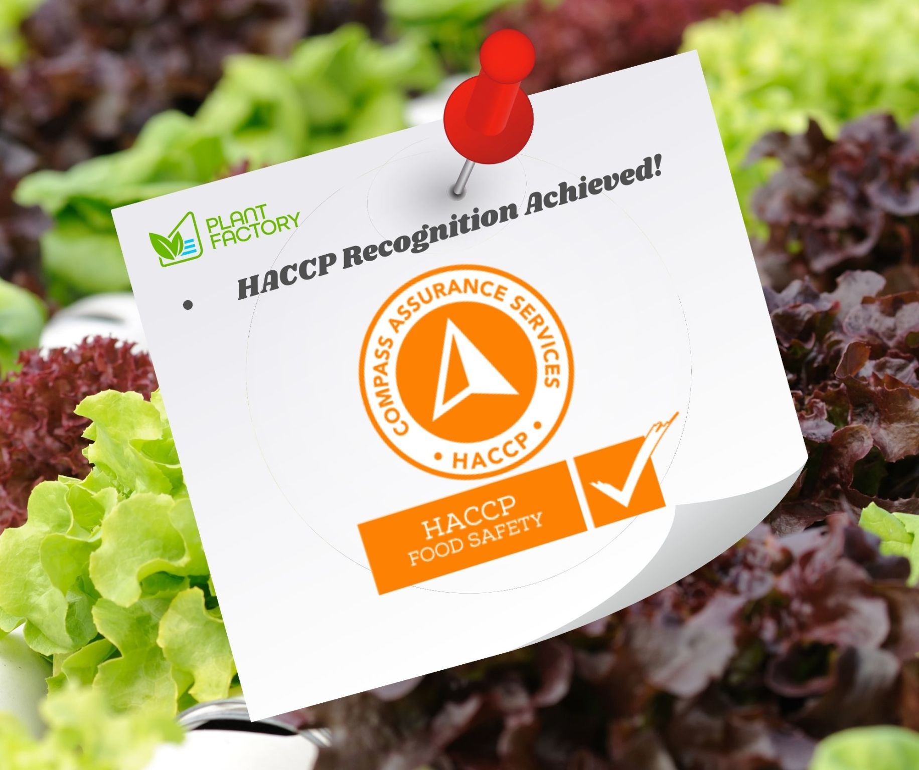 Plant Factory Achieves HACCP Recognition: Promising Safe and Quality Produce Every Step of the Way