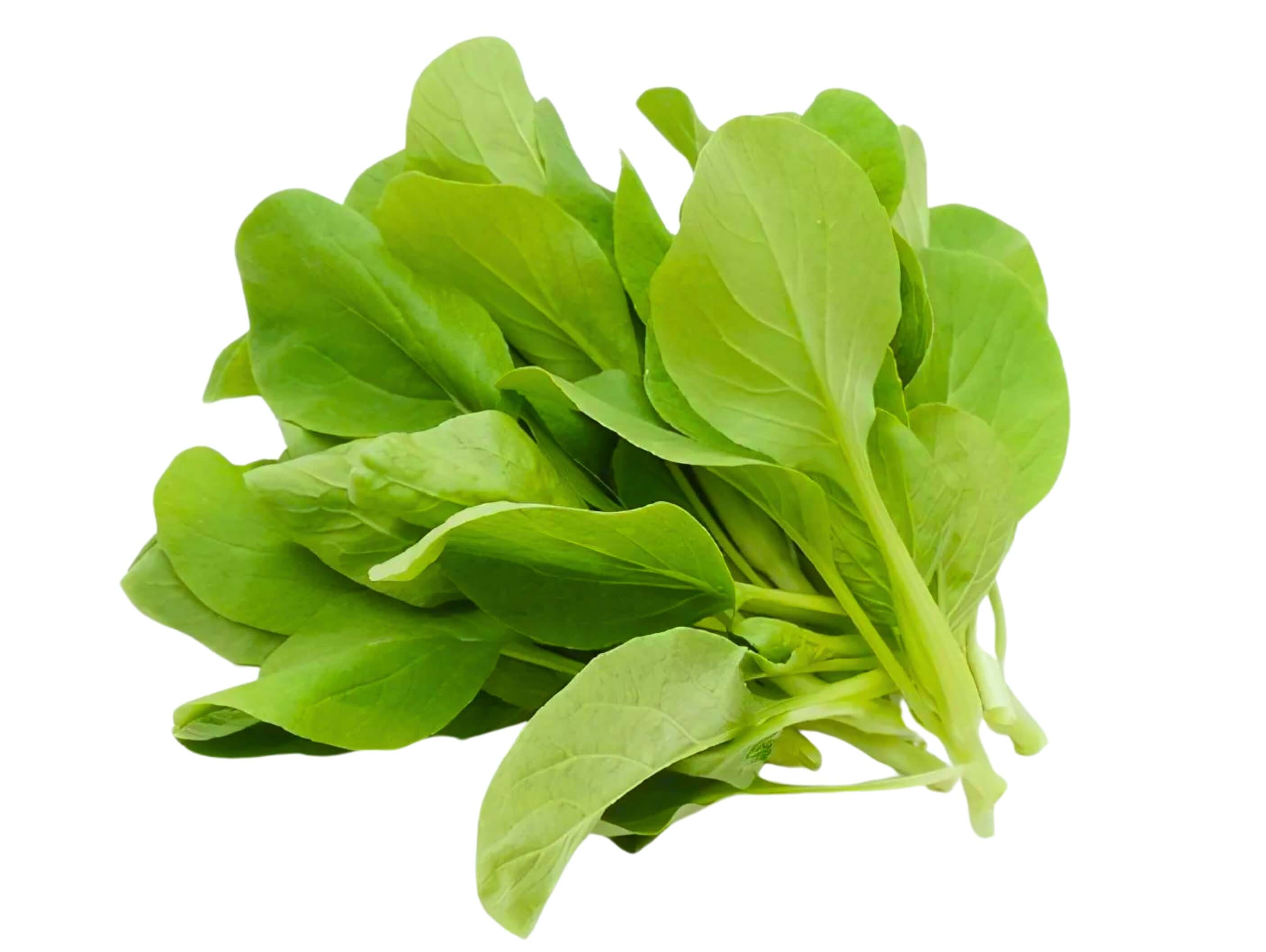 Shanghai Baby Bok Choy(Subscription Only)