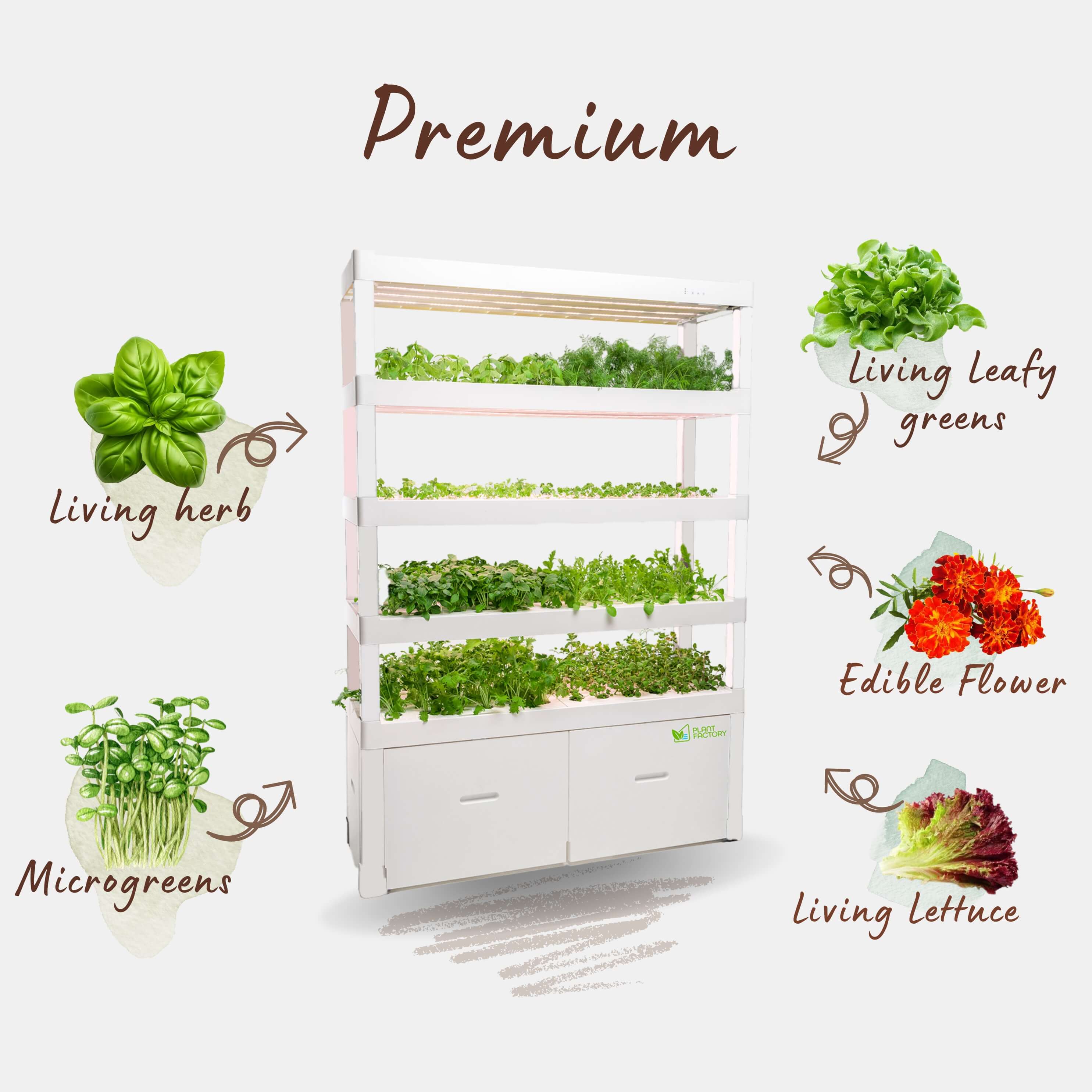 Premium Vegetable Plan