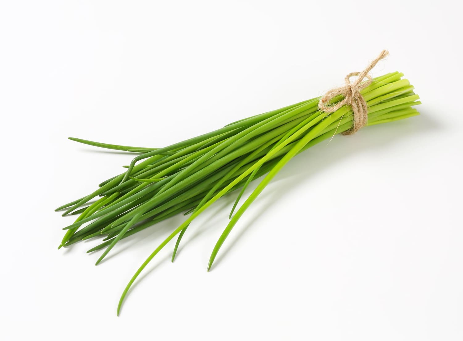 Onion-Chives(48x - Subscription Only)