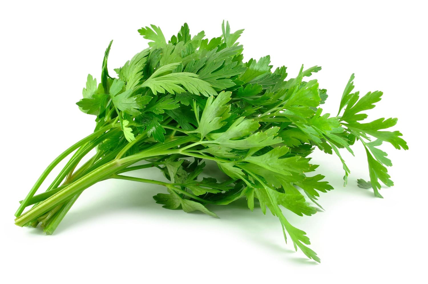flat parsley