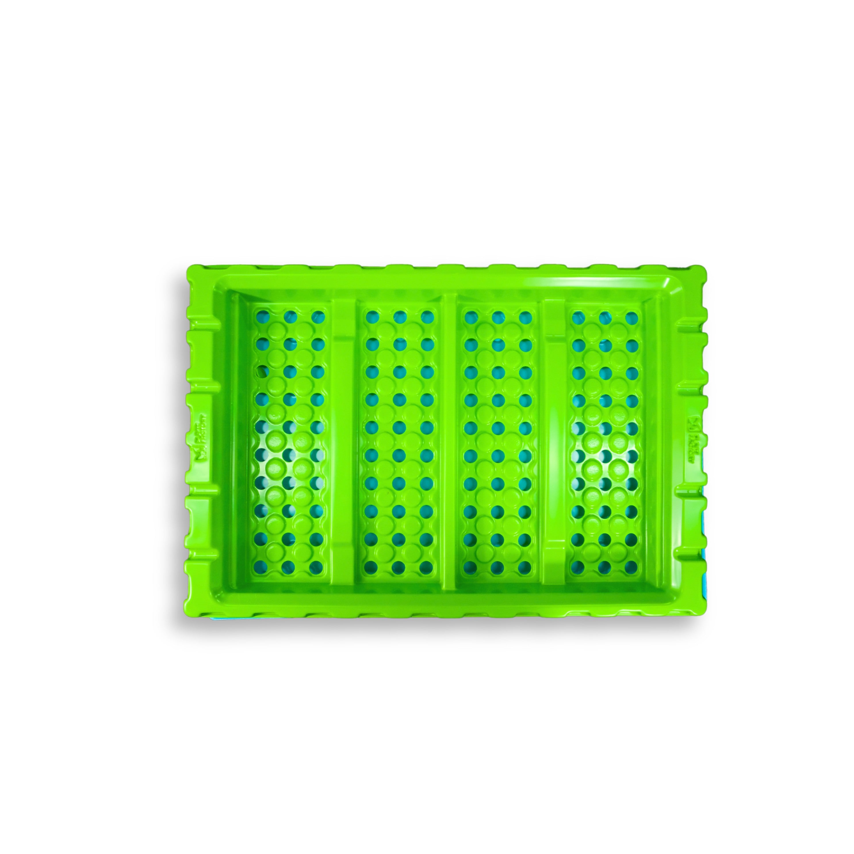 Microgreen Seedling Kit